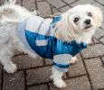 Sporty Vintage Aspen Pet Ski Jacket